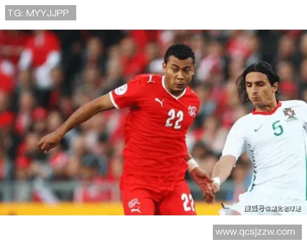 杭州排球队战术变革引发热议新策略助力球队崛起